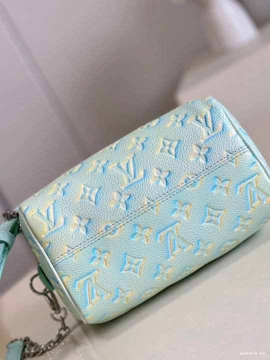 WIS LOUIS SPEEDY VUITTON BANDOULIÈRE 20 0825